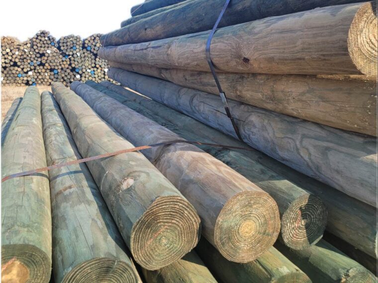 Treated Fence Post Size Guide